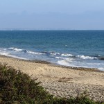 IMG_0449