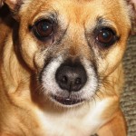 IMG_1033 IMG_1033