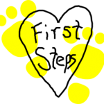 first steps