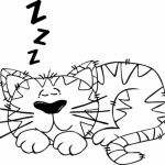 nap